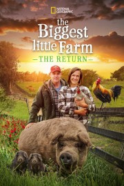hd-The Biggest Little Farm: The Return