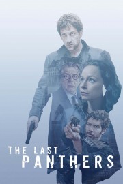hd-The Last Panthers