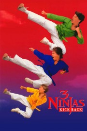 hd-3 Ninjas Kick Back