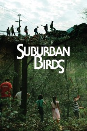 hd-Suburban Birds