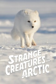 hd-Strange Creatures of the Arctic