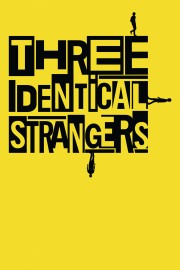 hd-Three Identical Strangers