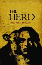 hd-The Herd