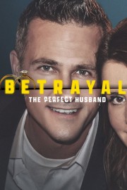hd-Betrayal: The Perfect Husband