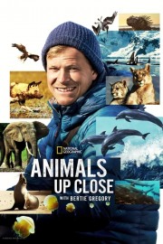 hd-Animals Up Close with Bertie Gregory