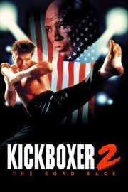 hd-Kickboxer 2:  The Road Back