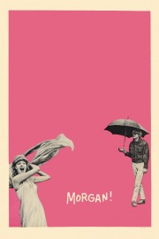 hd-Morgan: A Suitable Case for Treatment