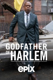 hd-Godfather of Harlem