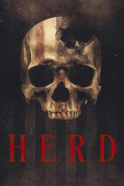 hd-Herd