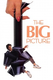 hd-The Big Picture