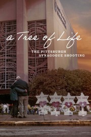 hd-A Tree of Life: The Pittsburgh Synagogue Shooting