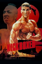 hd-Kickboxer