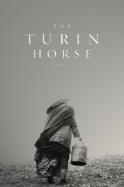 hd-The Turin Horse