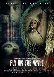 hd-Fly on the Wall