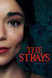 hd-The Strays