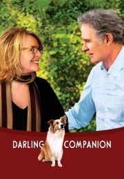 hd-Darling Companion