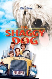 hd-The Shaggy Dog