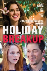 hd-Holiday Breakup