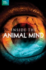 hd-Inside the Animal Mind