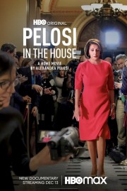 hd-Pelosi in the House