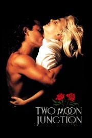 hd-Two Moon Junction