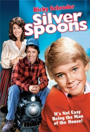hd-Silver Spoons