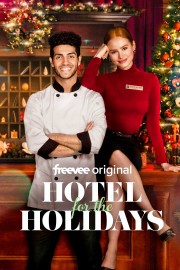 hd-Hotel for the Holidays