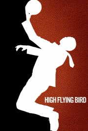 hd-High Flying Bird