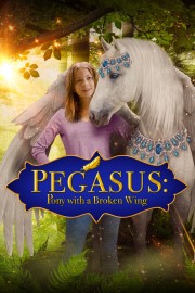 hd-Pegasus: Pony With a Broken Wing