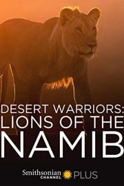 hd-Desert Warriors: Lions of the Namib