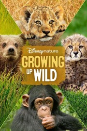 hd-Growing Up Wild