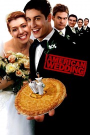 hd-American Wedding