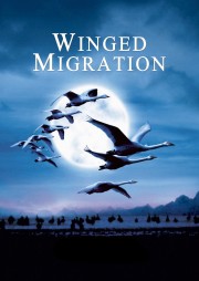 hd-Winged Migration