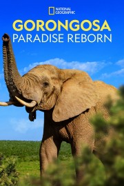 hd-Gorongosa: Paradise Reborn