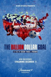hd-The Billion Dollar Goal