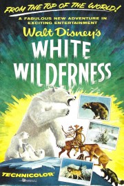 hd-White Wilderness