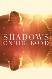 hd-Shadows on the Road