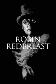 hd-Robin Redbreast