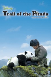 hd-Trail of the Panda