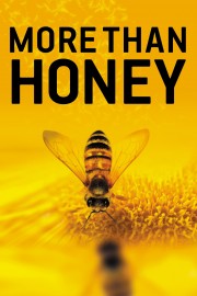hd-More Than Honey