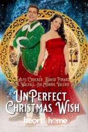 hd-UnPerfect Christmas Wish