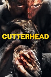 hd-Cutterhead
