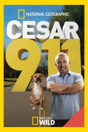 hd-Cesar 911