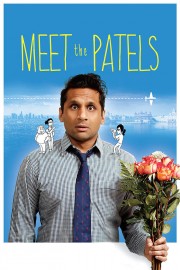 hd-Meet the Patels
