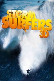 hd-Storm Surfers 3D