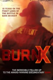 hd-Detroit Burning