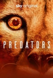 hd-Predators