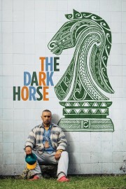 hd-The Dark Horse