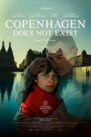 hd-Copenhagen Does Not Exist