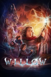 hd-Willow